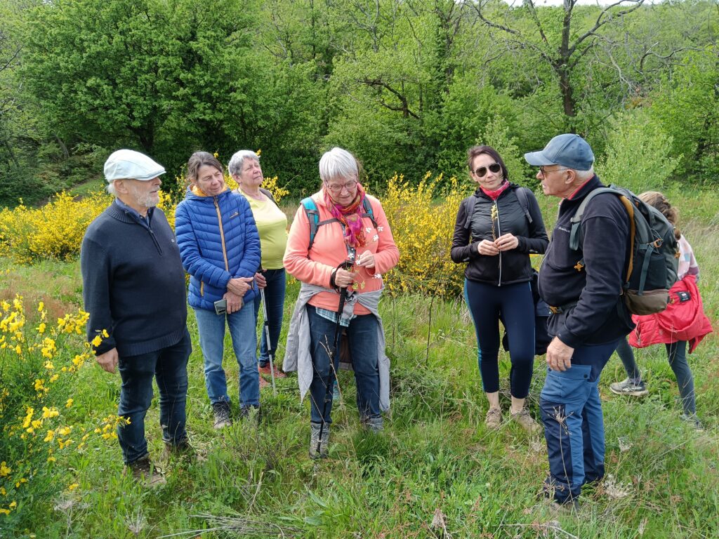 11e Marche des cailloux, 4 mai 2024, Partie 4 : de Chasselas à Roche Noire.